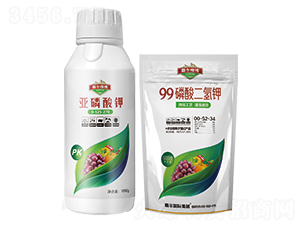 �������+99��������-�Ԡ��G��