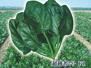 ��Խ��2̖F1-���˷N��-ʥ�A���S