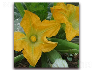 ���������J-�����J�N��-ʥ�A���S