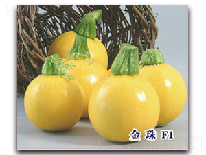 ����F1-�����J�N��-ʥ�A���S