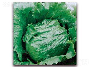 �Gʥ��1106��-���˷N��-ʥ�A���S