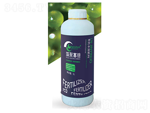 ��۹���-��һ�Z����