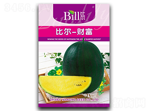 �Ƞ�-ؔ��-���ϷN��-�Ƞ�