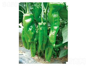 ƽ���s1-�����N��-ƽ�S�N�I(y��)