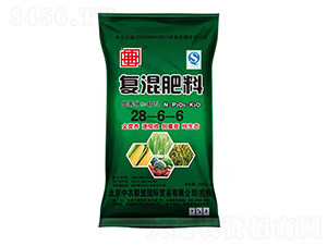 ��(f��)�����28-6-6-���d�ʘI(y��)