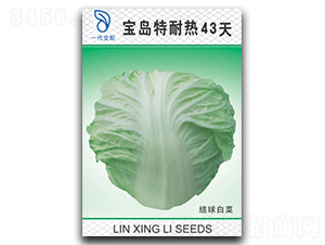 ���u���͟�43��-�ײ˷N��-���d��