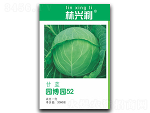 �@���@52-���{(l��n)�N��-���d��