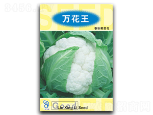 �f����-��Ҭ�˷N��-���d��