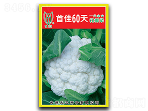 �׼�60-��Ҭ�˷N��-���d��