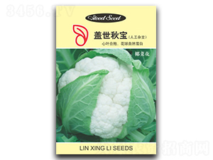 �w���-��Ҭ�˷N��-���d��