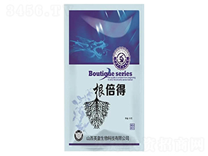 ������-Ӣ������