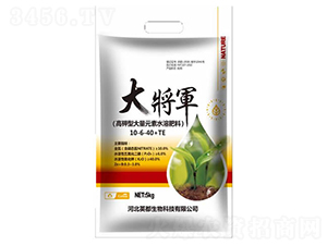 ����ʹ���Ԫ��ˮ�ܷ���10-6-40+TE-��܊-Ӣ������