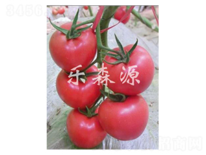 �ѷ�806-���ѷN��-��ɭԴ