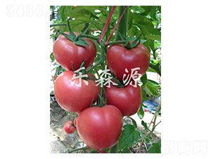 �ۄ���101-���ѷN��-��ɭԴ