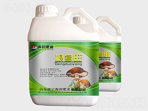 �������_ʩ��-��퍷ʘI(y��)