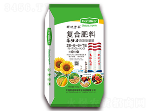 ���(d��ng)������������28-