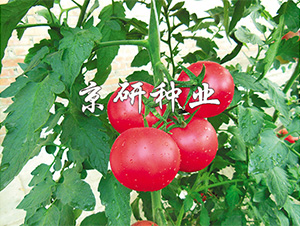 ����101-���ѷN��-����