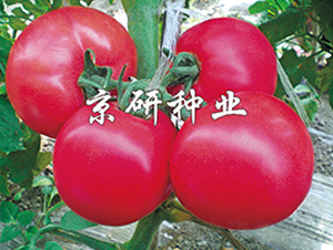 ����104-���ѷN��-����