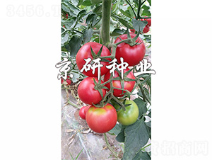 ����301-���ѷN��-����