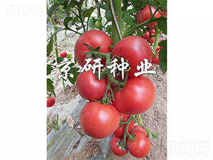 ����303-���ѷN��-����