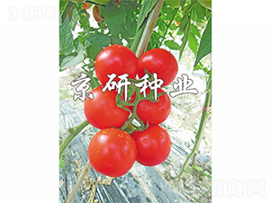 ����501-���ѷN��-����