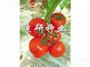 ����601-���ѷN��-����