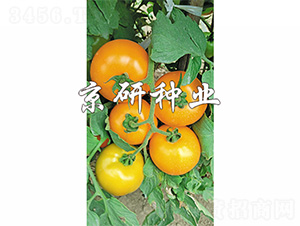 ����701-���ѷN��-����