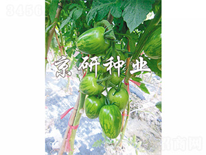 �����в�1̖(h��o)-���ѷN��-����