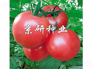 �ɿ�360-���ѷN��-����