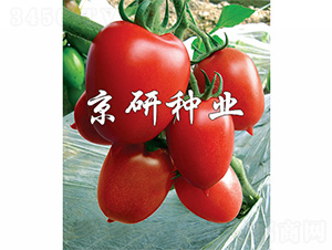 �t��1̖(h��o)-���ѷN��-����