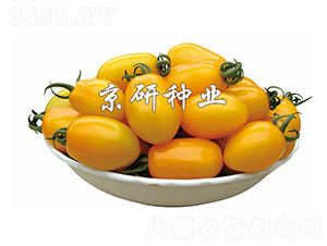 �S�L1̖(h��o)-���ѷN��-����