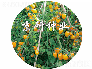 �S�L2̖-���ѷN��-����