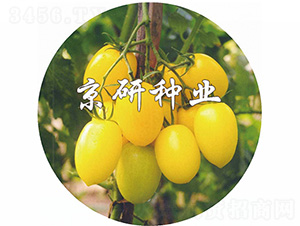 �S��-���ѷN��-����