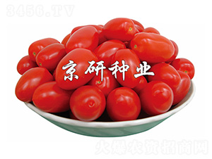 ����5̖-���ѷN��-����