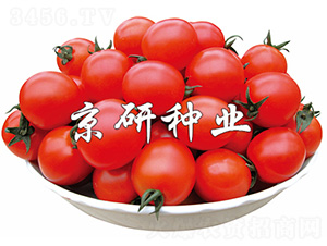 ����8̖-���ѷN��-����