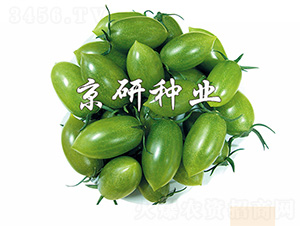 �G��ʯ2̖-���ѷN��-����