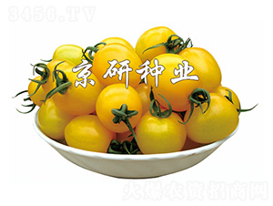 С�S��-���ѷN��-����