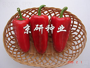 �t��-�����N��-����