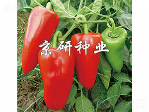 ����1̖-�����N��-����