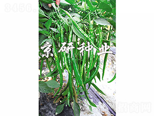 ����413-�����N��-����