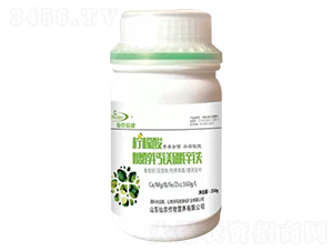 �����ᡤ�Ǵ��}�V���\�F-���r(n��ng)����