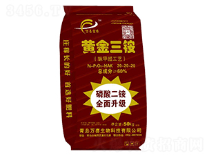 �S�����@20-20-20-�f(w��n)ϲ����