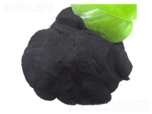 ��ֲ���@�w��-ʢ������