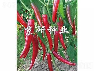 ����102-�����N��-����