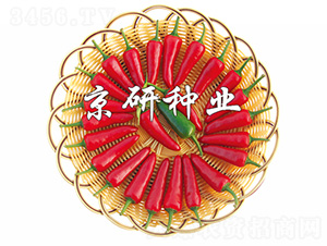 ����106-�����N��-����