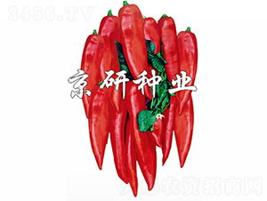 �t��-�����N��-����