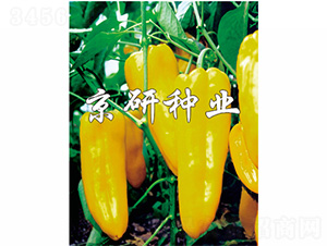 �S��-�����N��-����