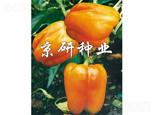 �S��1̖-�����N��-����