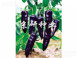 ����-�����N��-����