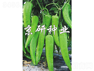 �ٺ�740-�����N��-����